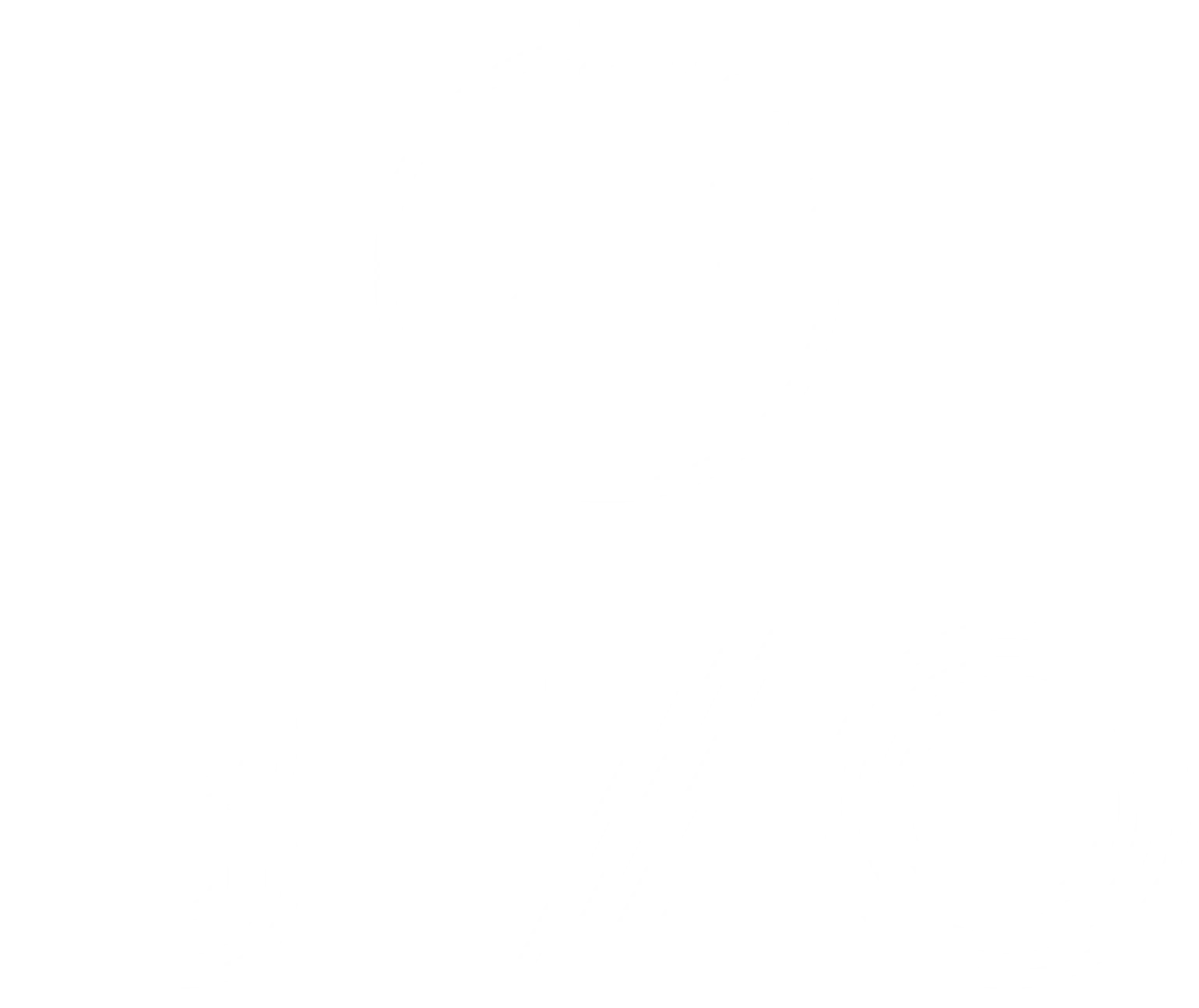 Bizo